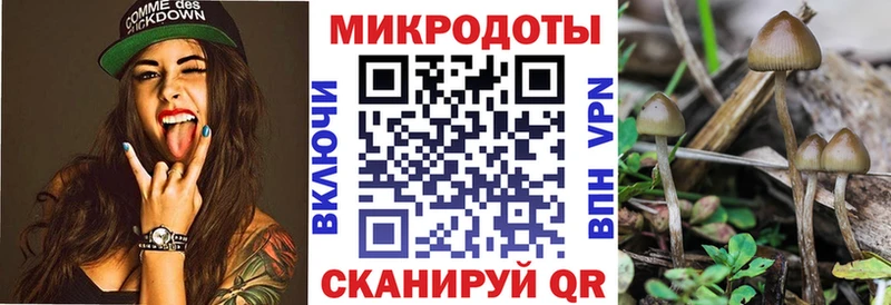 Галлюциногенные грибы GOLDEN TEACHER  Купить закладки  Фрязино 